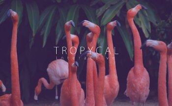 Tropycal Interactive | Diseño Web, Social Media, Marketing Online, Video