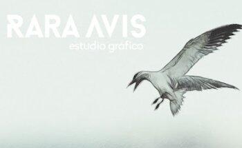 Rara Avis Estudio Gráfico | Diseño gráfico, Páginas web y Comunicación