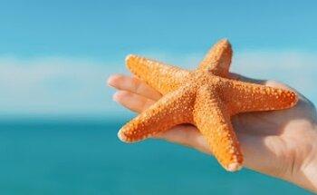 Esario Internet Marketing