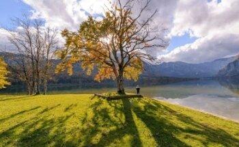 Martural. Sonia González Cortés