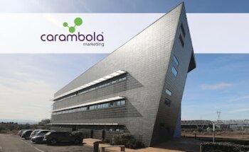 Carambola Marketing | Tu negocio como lo imaginas