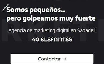 40 Elefantes - Agencia SEO Sabadell