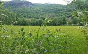 Servicios Técnicos de Investigación General y Auditoría S.L.