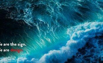 EDO Estudio | Estudio de diseño gráfico y agencia de marketing online