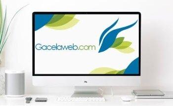 Gacelaweb - Agencia de Marketing Digital Madrid