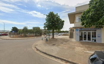 Proyectos SEO Mallorca