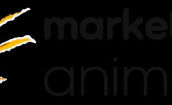 Marketing Animals - Ibiza & Formentera