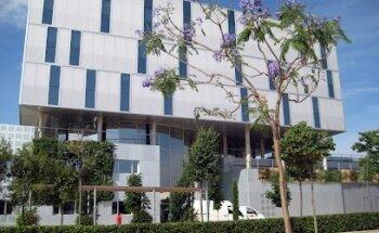 Ivan Barreda · Desarrollo WordPress a medida