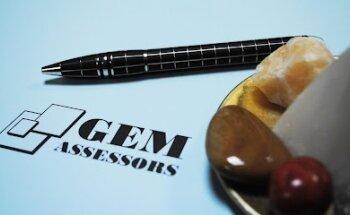 GEM ASSESSORS