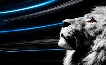 Agencia SEO en Sevilla | GF Publicidad