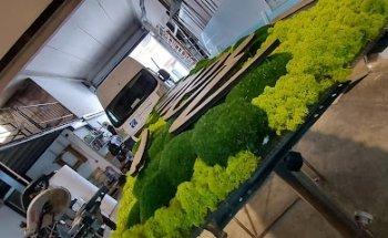 Nouveau Comunicación Visual