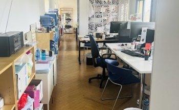 all sounds promotion