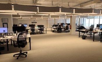 Idento Online Marketing, SEO and Web Design