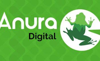 Anura Digital - WEB, SEO y SEM. Diseño y desarrollo web, Posicionamiento en Internet y Campañas de publicidad online