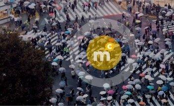 Mostaza Comunicacion