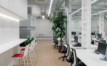 UM (Universal McCann)