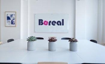 Boreal Comunicaciones