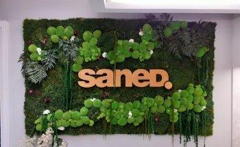 Sanidad Y Ediciones SL (Grupo Saned)