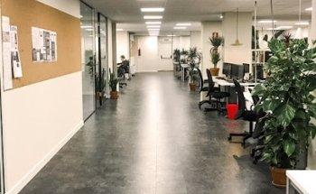 Baud - Agencia de Branding, Consultora de Marcas y Diseño