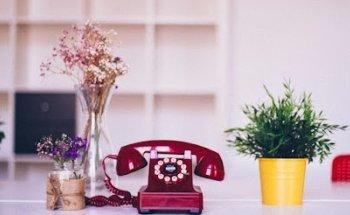 Alola Media | Marketing Digital