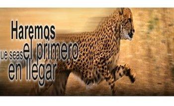 Bag Distribuciones Publicitarias