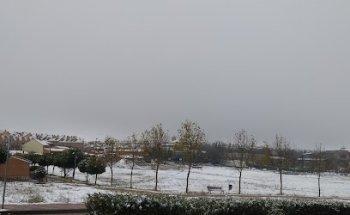 Lince Marketing Directo