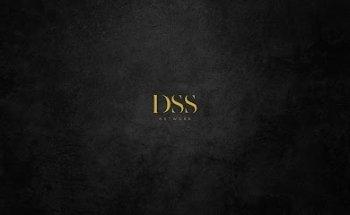 DSS Network | Diseño, Marketing y Desarrollo