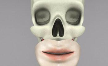 Muma Estudio Creativo