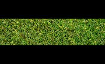 Seed Media Agency S.R.L.S.