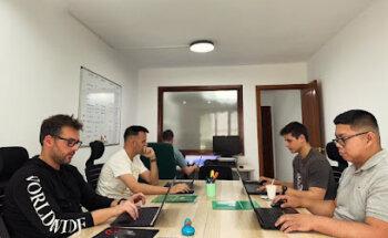 Sir Koala - Diseño Web, Marketing y Redes Sociales