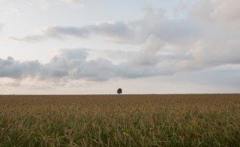 RRESET Disseny i Comunicació