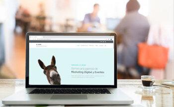 El Burro Marketing Digital