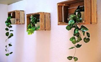 Coto Consulting Estudios de Mercado Valencia | Consultoría Retail