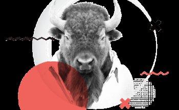 Agencia Buffalo | Marketing Digital para EMPRESAS
