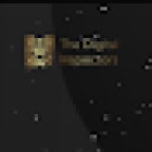 The Digital Inspectors