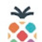 Pineapple Digital - SEO Agency Barcelona