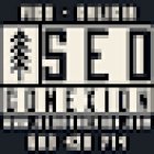Seoconexion