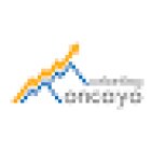 Moncayo Marketing - Agencia SEO y Publicidad Digital