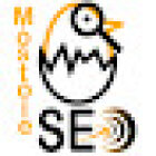 MóstoleSEO Agencia SEO