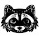 Que Necesitas Online