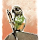 Copywriter especialista en redacción web.