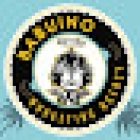 Agencia de Marketing Babuino València