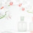 La Agencia Sensorial