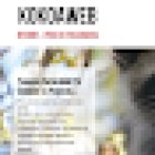 kokoaweb.com, Consultoria