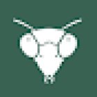 The Mantis Digital, Marketing online