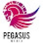 Pegasus Media