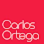 Carlos Ortega - Consultor SEO