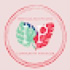 Inma Picossi Community Manager - Gestión de Redes Sociales