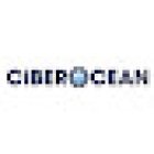 CIBEROCEAN | Posicionamiento WEB en Elche | SEO en Elche | Posiciona tu Tienda Online