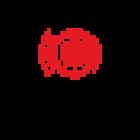 Comunitics Estrategia Online S.L.